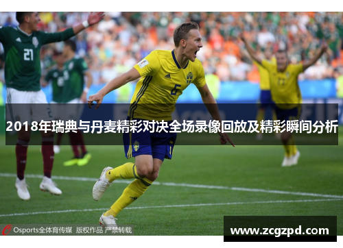 2018年瑞典与丹麦精彩对决全场录像回放及精彩瞬间分析